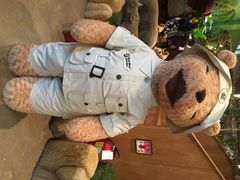 泰迪熊博物馆-济州岛泰迪熊博物馆