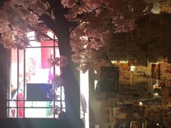 -金龙咖喱