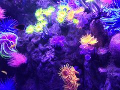 -成都浩海立方海洋公园