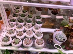 -KKV(上海月星环球港店)