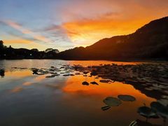 -广州凤凰城酒店-维也纳西餐厅