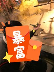 -酷嗒动物文化乐园(cutezoo西溪乐天城店)