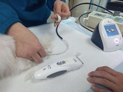 -安安宠医·安宠宠物医院