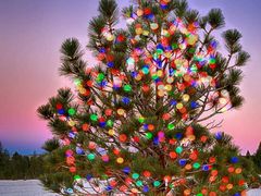 -蒙自源过桥米线(红谷滩万达店)