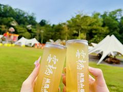 -云栖山谷野奢营地