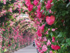 -广富林郊野公园