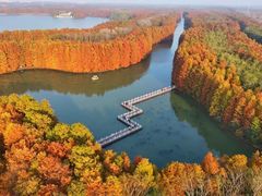 -上海海湾国家森林公园