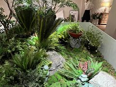 -长春藤咖啡(北园店)