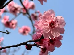 -白塘生态植物园