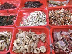 水产区-北部湾海鲜饭店(大新路店)