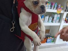 -好利来(西罗园店)