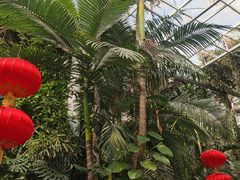 -郑州植物园