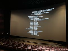 -金逸影城(武汉人信汇IMAX店)