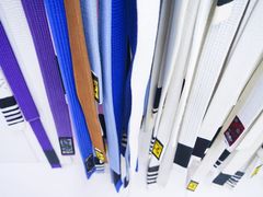 -菠萝格斗巴西柔术训练馆