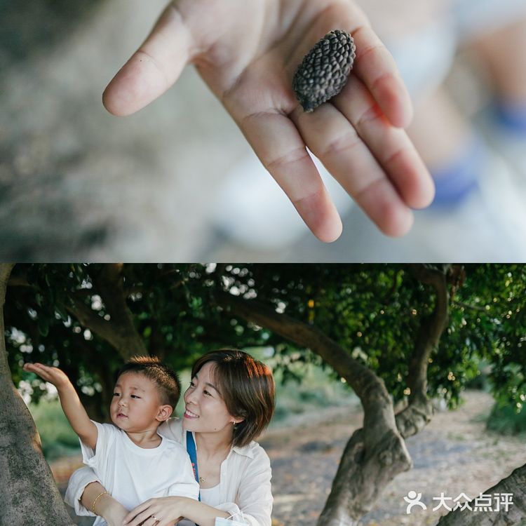 【深圳】初秋出游,千万不要错过红花山的超美粉黛