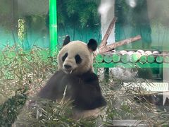 -天津市动物园