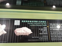 -九龙公园