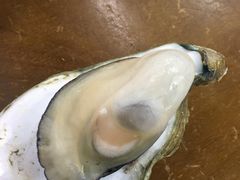 -蚝得喜海鲜(东城店)