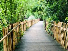 -贵阳市花溪国家城市湿地公园