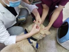 -美联众合动物医院·24h京西诊疗中心