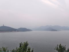 -望湖烤鱼