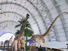 -辽宁古生物博物馆