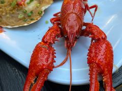 -蚝翅·海鲜粥·烧烤·宁夏滩羊季(玉米楼店)