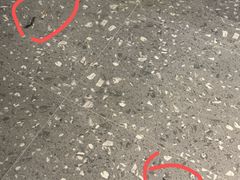 -江味龙虾馆·裸蓝龙虾(南山店)