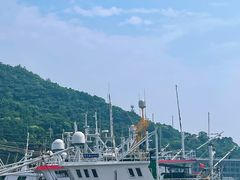 -沈家门渔港