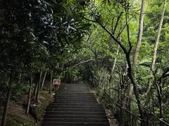 -凤栖山