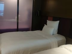 -南京禄口机场雅高铂尔曼大酒店