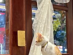 -初甜·舒芙蕾·韩式雪花冰(流塘店)