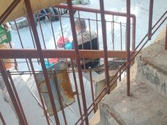 -香坊横道中心市场