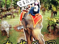 -东芭乐园