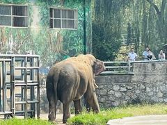 -西安秦岭野生动物园