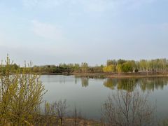 -东郊湿地公园