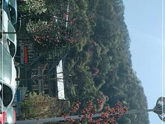 -陕西省红河谷森林公园
