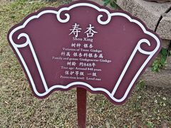 -苏州文庙(姑苏区)