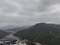 -黄贤森林公园