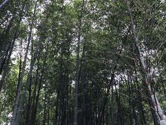 -旺山·浪头人家