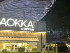 -AOKKA COFFEE(万象前海快闪店)