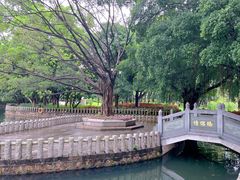 -荔枝公园(福田区)