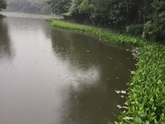 -八卦田遗址公园