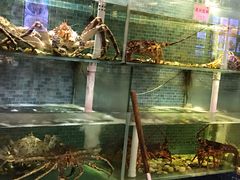-东国海鲜火锅城(氹仔店)