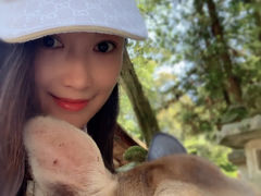 -奈良公园