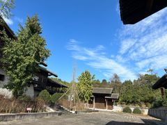 -大唐贡茶院