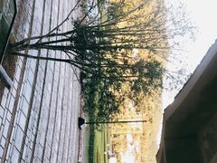 -龙泉青瓷博物馆