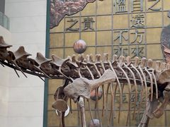 -衢州市博物馆