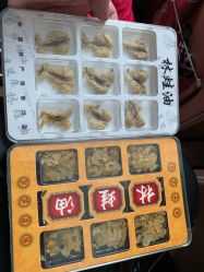 -大秃顶子山