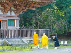 -醍醐寺
